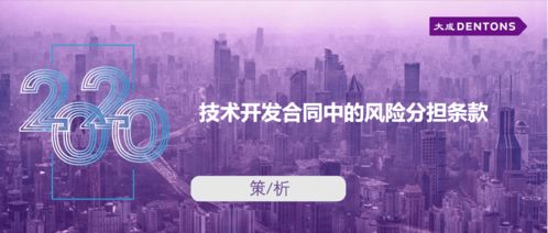 技術開發合同中的風險分擔條款